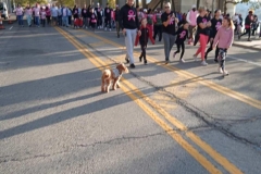 Making-Strides-36