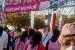 Making-Strides-50